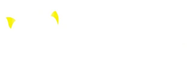 Meowgic Store